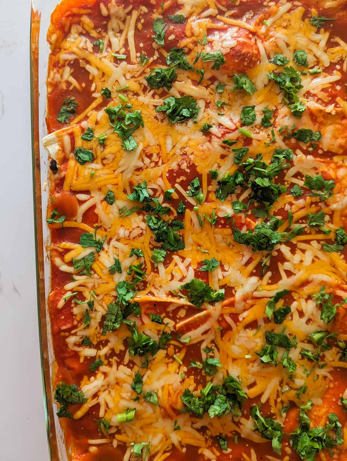 A big batch chicken enchilada casserole topped with sauce, cheese, and cilantro