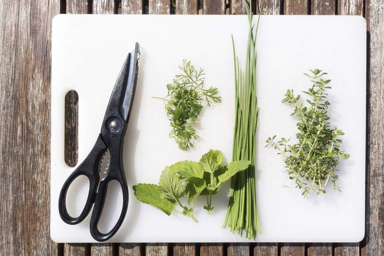 A cutting board with herbs and scissors