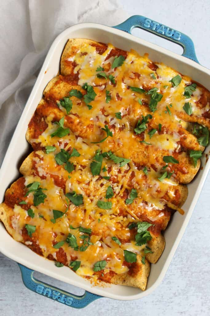 Chicken enchiladas topped with ranchero sauce and cheese.