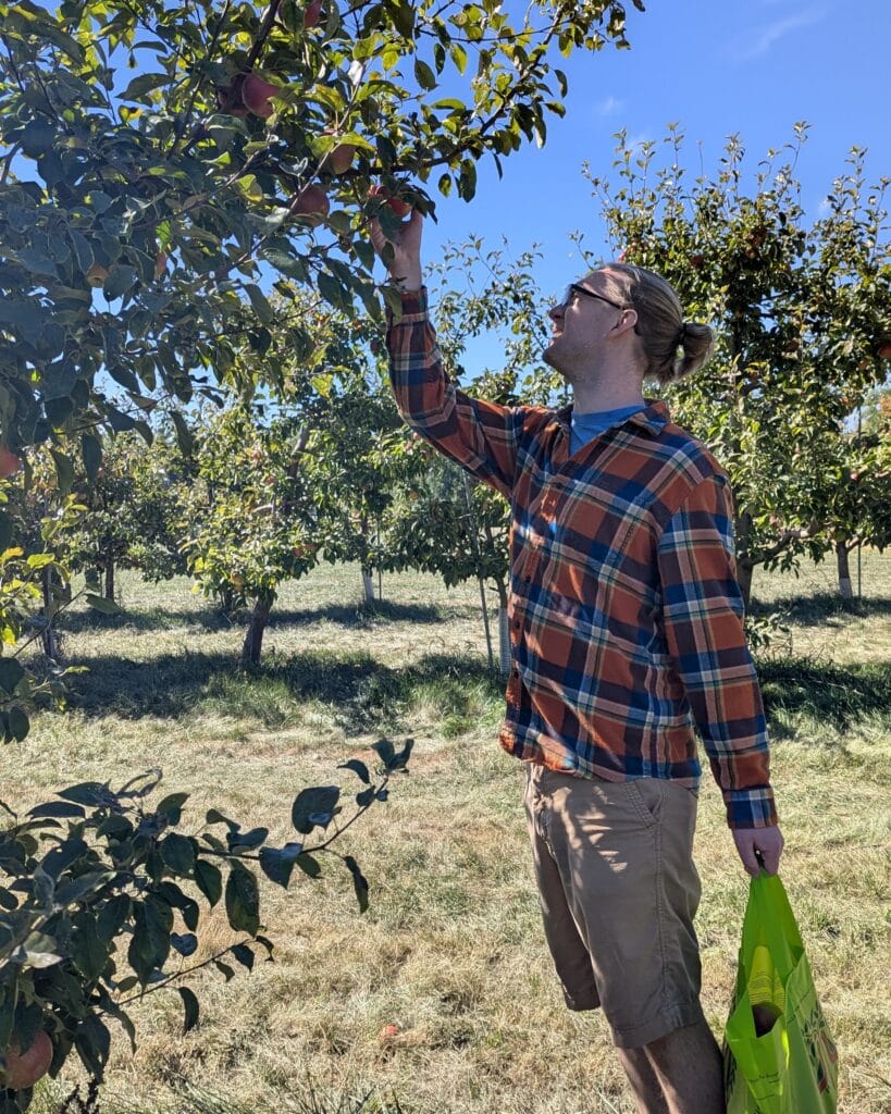 Alex picking apples.