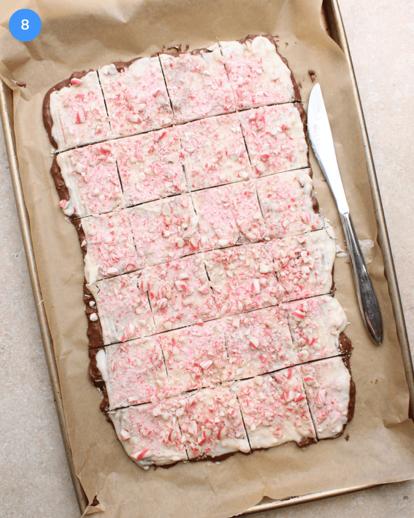 Peppermint bark sliced into two by two inch squares.