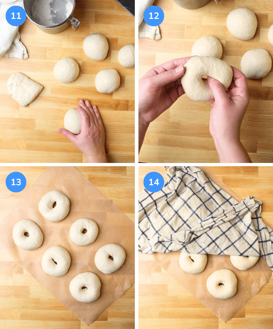 Steps 11 through 14 showing how to shape bagels, then rest them under a damp cloth.