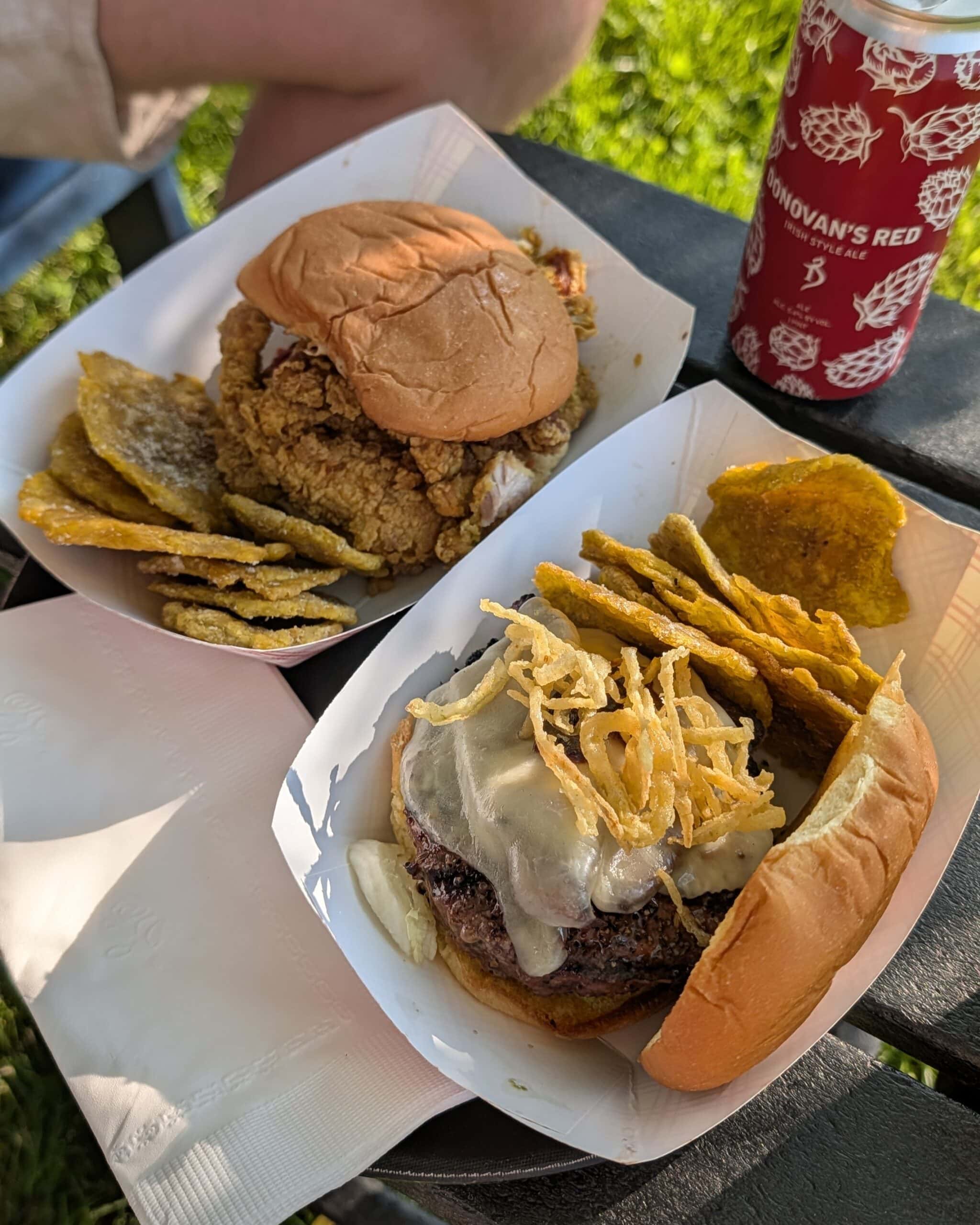 Two takeout sandwiches on a picnic table.