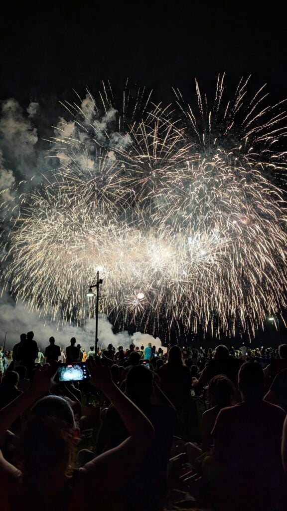 Fireworks in a dark sky.